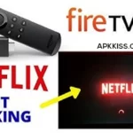 Amazon Fire Stick Netflix Issues How to fix netflix not working